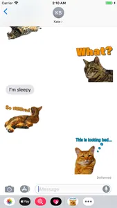 A fun cat message sticker screenshot 1