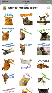 A fun cat message sticker screenshot 2