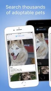 PetView360: Find & Adopt a Pet screenshot 0