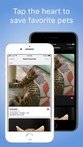 PetView360: Find & Adopt a Pet screenshot 4