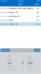 SQL Server Mobile Client screenshot 4