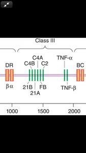 Greenspan's Endocrinology 10/E screenshot 6