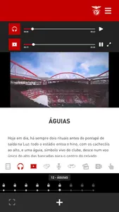 Benfica Tour 360 screenshot 7