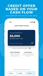 Grain: The Digital Credit Card screenshot 1