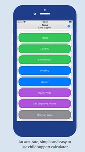 Child Support Calc screenshot 0