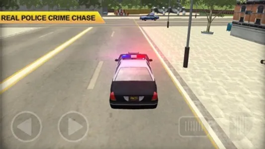 Police Car: Chase Driving screenshot 2