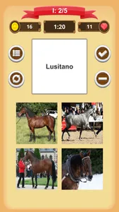 Horse Quiz screenshot 3