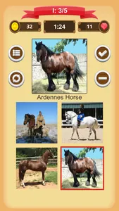 Horse Quiz screenshot 4