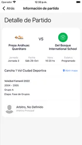 Torneo de la Amistad screenshot 3