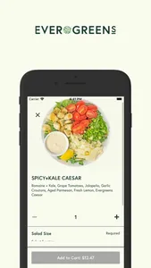 Evergreens Salad screenshot 2
