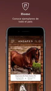 Andares screenshot 1