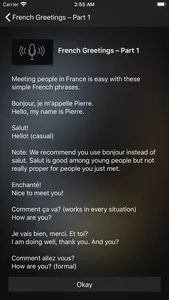 Vite - Speak French Fluently screenshot 5