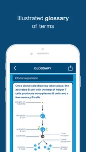 Biology Answers - AP Biology screenshot 1