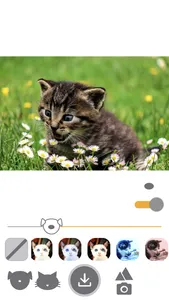 PetEasy - Dog Cat Pet Filter screenshot 6