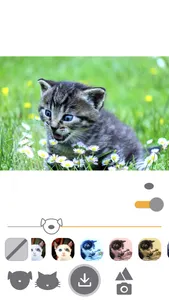 PetEasy - Dog Cat Pet Filter screenshot 7