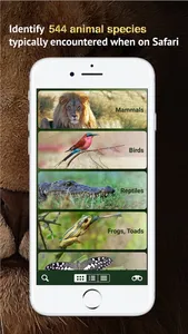The Golden Safari Guide screenshot 1