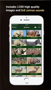 The Golden Safari Guide screenshot 2