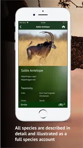 The Golden Safari Guide screenshot 3