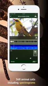 The Golden Safari Guide screenshot 6