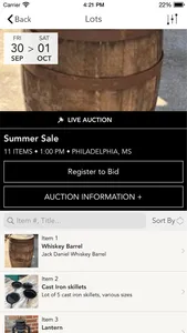 Lane Taylor Auction screenshot 1