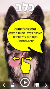 קולות של חיות screenshot 2