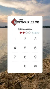 The Seymour Bank screenshot 0