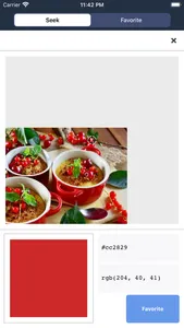 Color Code Seeker screenshot 1