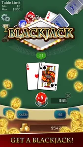 Blackjack 21 +! screenshot 0