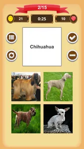 Dogs - Quiz screenshot 3