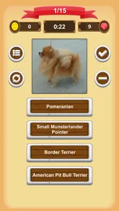 Dogs - Quiz screenshot 7