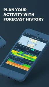Windy Pro: marine weather app screenshot 4