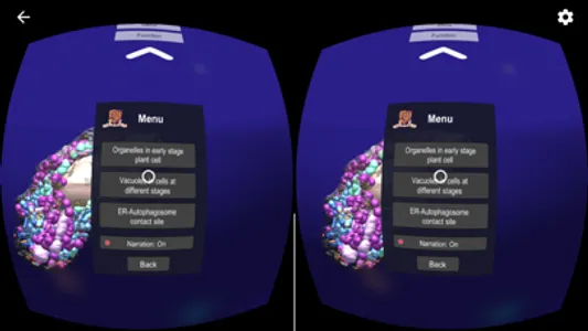 3D Plant Cell Organelles in VR screenshot 0