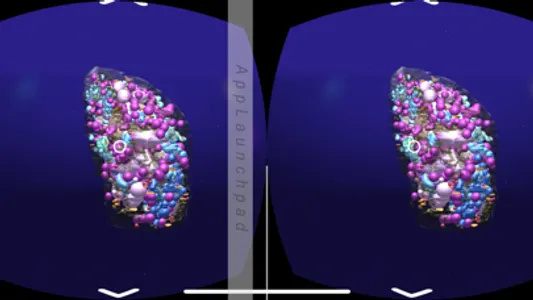 3D Plant Cell Organelles in VR screenshot 1