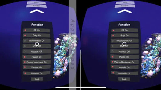 3D Plant Cell Organelles in VR screenshot 2