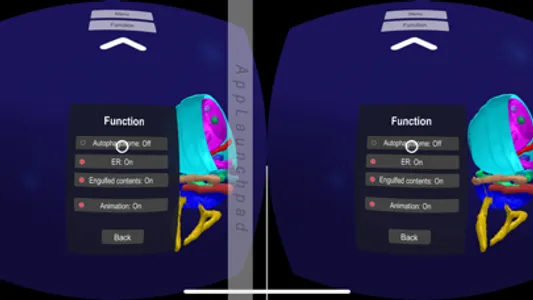3D Plant Cell Organelles in VR screenshot 4