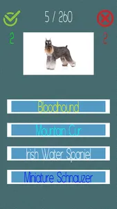 Dog Quiz  (250+ Breeds) screenshot 0