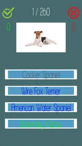 Dog Quiz  (250+ Breeds) screenshot 2