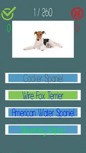 Dog Quiz  (250+ Breeds) screenshot 3