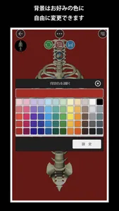 Bone (ボーン) screenshot 5