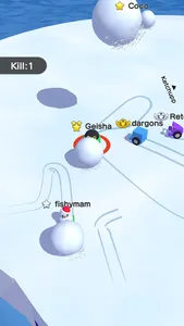 Snowball.io™ screenshot 1