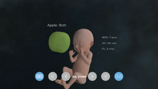 VR Fetus Home Player screenshot 1