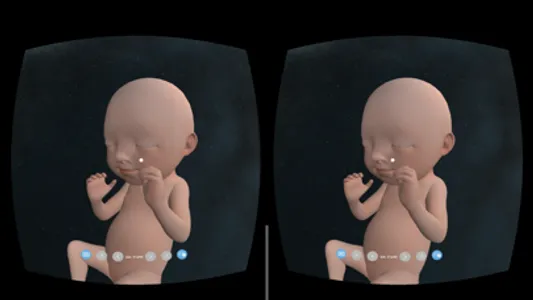 VR Fetus Home Player screenshot 2