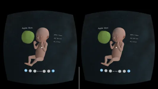 VR Fetus Home Player screenshot 3