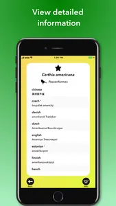 Bird Names Dictionary screenshot 3