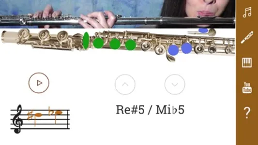 2D Flute Fingering Chart screenshot 3