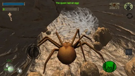 Spider Colony Simulator screenshot 3