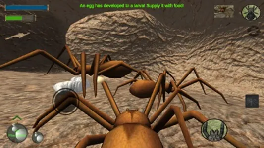 Spider Colony Simulator screenshot 4