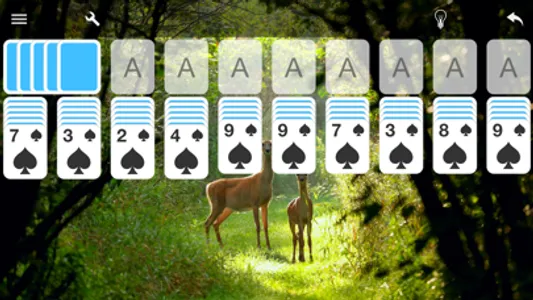 Spider Solitaire Card Game screenshot 2