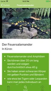 WaldApp! screenshot 3