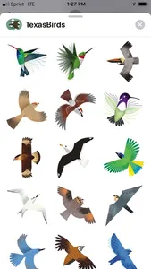 Texas Birds Sticker Pack screenshot 1